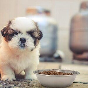 6 Pack Stainless Steel Bowls